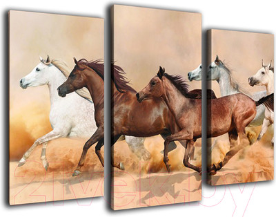 Картина модульная Arthata m-000320 (75x50)