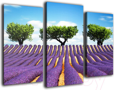 Картина модульная Arthata m-000337 (75x50)