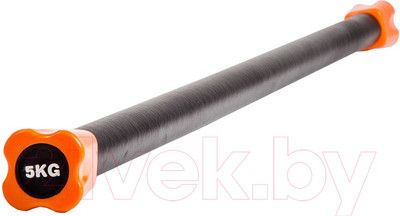 Бодибар Profi-Fit PF-BDB-5 (5кг)