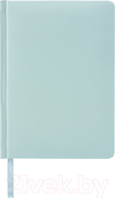 Ежедневник Brauberg Profile / 111692 (мятный)