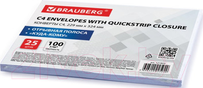 Набор конвертов почтовых Brauberg Куда-Кому / 121853 (25шт)