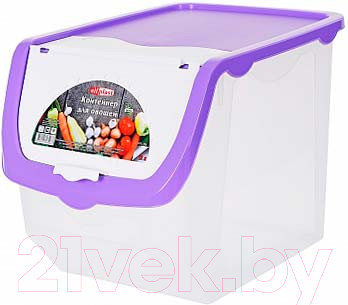 Контейнер Эльфпласт EP506 (12л, фиолетовый)