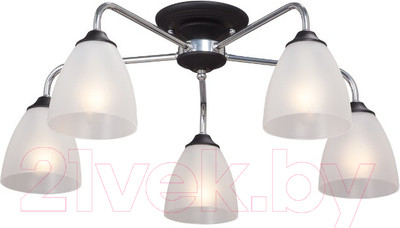 Люстра Vitaluce V3946-1/5PL