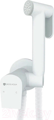 Гигиенический душ со смесителем Gross Aqua Bidet Evo GA042602MW