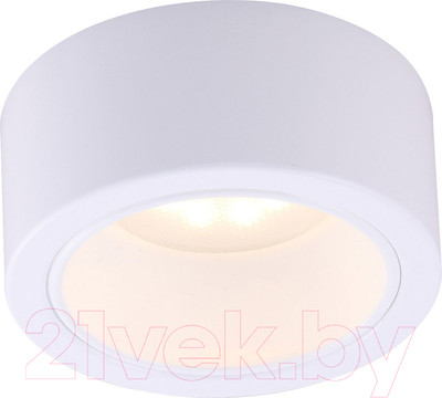 Светильник Arte Lamp Effetto A5553PL-1WH
