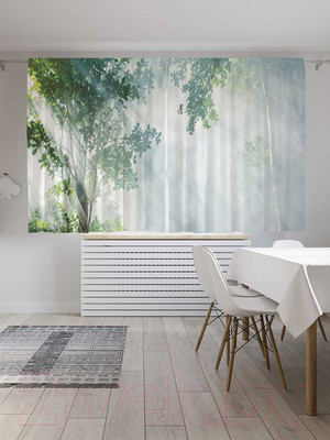 Комплект штор JoyArty Там за туманами / pox_16277 (145x180)