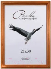 Рамка ПАЛИТРА Д17К 21x30