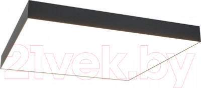 Потолочный светильник Maytoni Zon C067CL-L96B3K