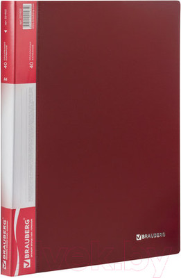 Папка для бумаг Brauberg 221602 (красный)