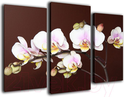 Картина модульная Arthata m-000446 (75x50)