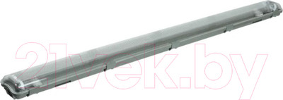 Светильник линейный IEK LDSP0-2202-2X120-K01