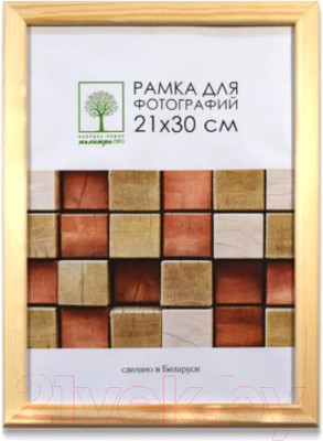 Рамка ПАЛИТРА Д18С 21x30