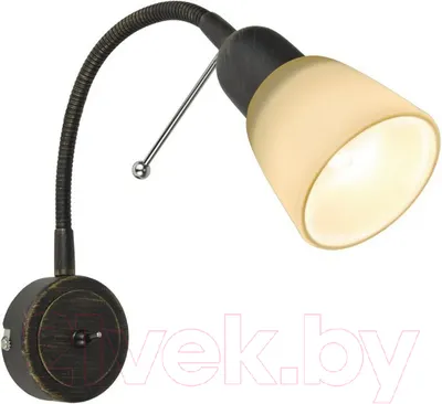 Спот Arte Lamp Lettura A7009AP-1BR