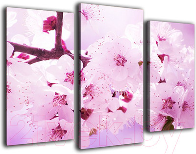 Картина модульная Arthata m-000470 (75x50)