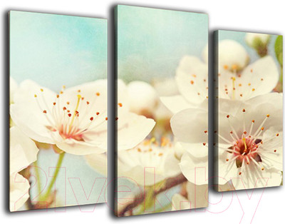 Картина модульная Arthata m-000475 (75x50)