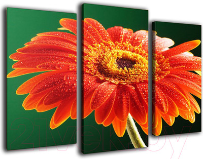 Картина модульная Arthata m-000484 (75x50)