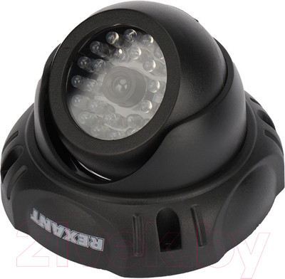 Муляж камеры Rexant RX-303 / 45-0303