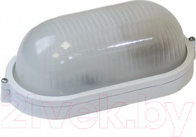 Светильник ЖКХ ЭРА Акватермо / Б0048423