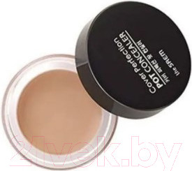 Консилер The Saem Cover Perfection Pot Concealer 02 Rich Beige (4г)
