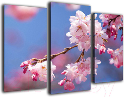 Картина модульная Arthata m-000495 (75x50)