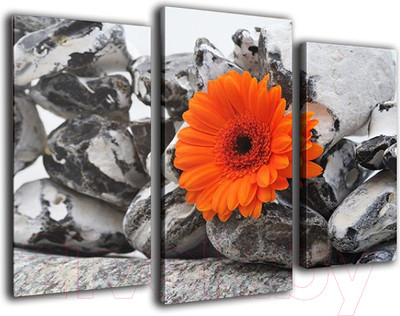 Картина модульная Arthata m-000508 (75x50)