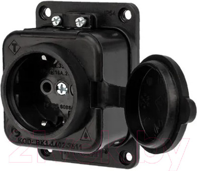 Розетка Rexant 111-111