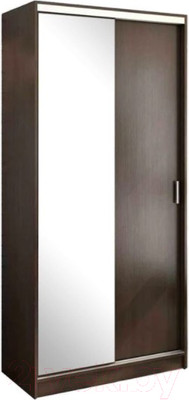 Шкаф-купе Стендмебель Альянс 1.0 (венге)