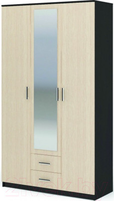Шкаф Стендмебель Гармония ШК-601-М (дуб белфорт/венге)