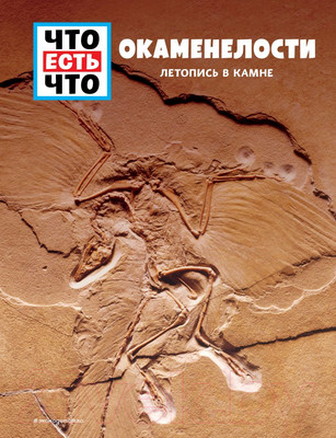Энциклопедия Эксмо Окаменелости. Летопись в камне (Баур М.)