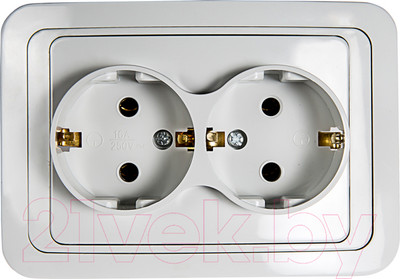 Розетка INhome Classico 2128 / 4680005959921 (белый)