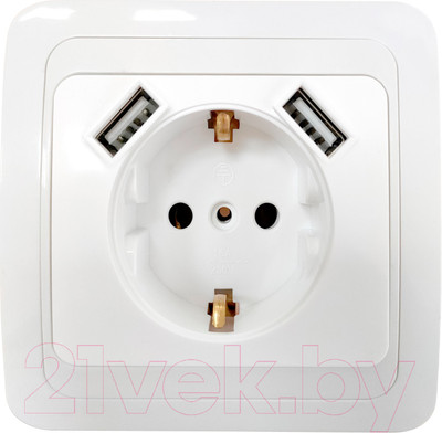 Розетка INhome Classico 2047 / 4690612035246 (белый)