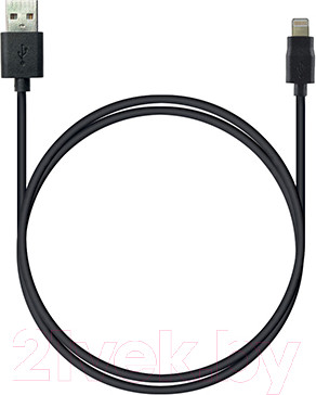 Кабель Robiton P7 Lightning SyncCharg (1м, черный)