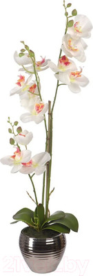 Искусственное растение Вещицы Орхидеи / YW-SUH27 (белый)
