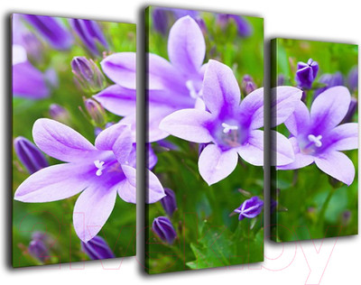Картина модульная Arthata m-000522 (75x50)