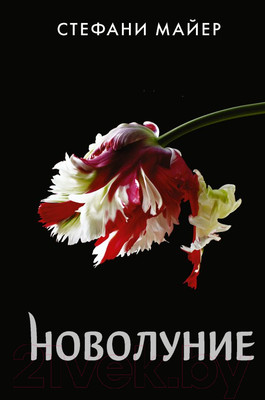 Художественная книга АСТ Новолуние. Новое оформление (Майер С.)