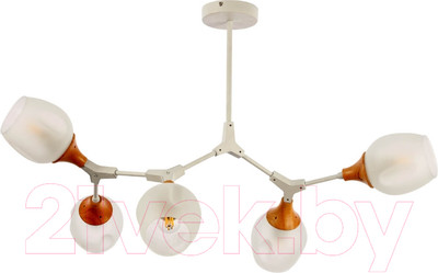 Люстра Evoluce Ciotolla SLE113502-05