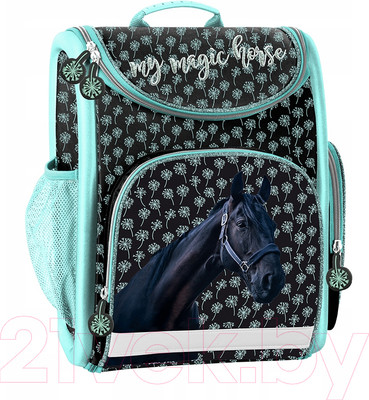 Рюкзак Paso PP19KN-524