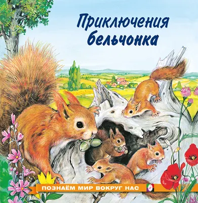Художественная книга Фламинго Приключения бельчонка 1079176