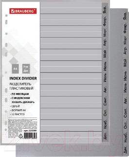 Разделитель документов Brauberg 225599