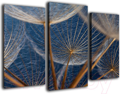 Картина модульная Arthata m-000525 (75x50)