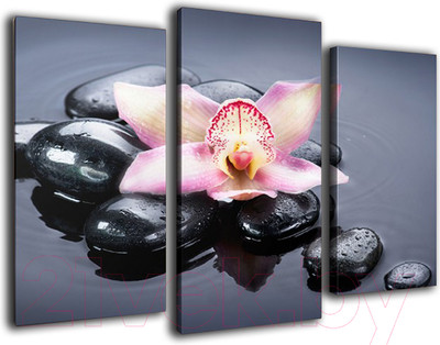 Картина модульная Arthata m-000563 (75x50)