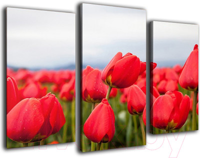 Картина модульная Arthata m-000569 (75x50)