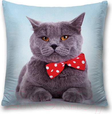 Наволочка декоративная JoyArty Серый Тема Шотландская Вислоухая / sl_2735