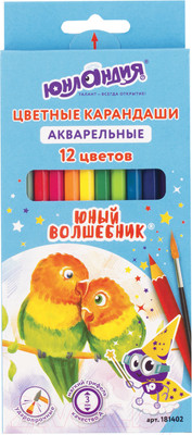 Набор акварельных карандашей Юнландия Юный волшебник / 181402 (12цв)