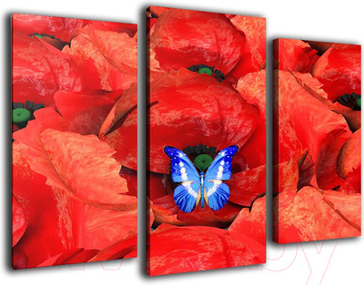 Картина модульная Arthata m-000572 (75x50)