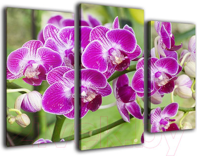 Картина модульная Arthata m-000578 (90x60)