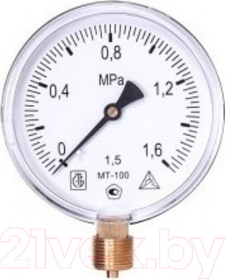 Манометр сантехнический Багория МТ-100 2.5 МПа 40/9
