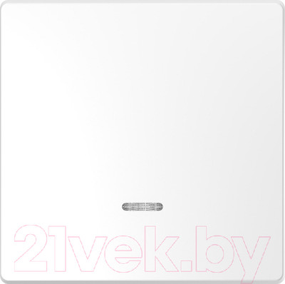 Клавиша для выключателя Schneider Electric Merten MTN3320-6035