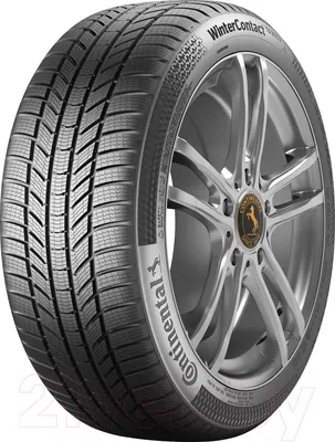 Зимняя шина Continental WinterContact TS 870 P 245/45R19 102V