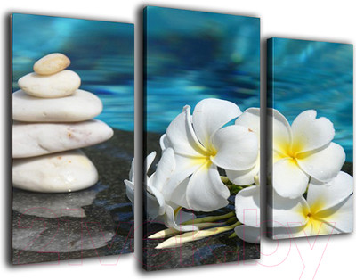 Картина модульная Arthata m-000604 (75х50)